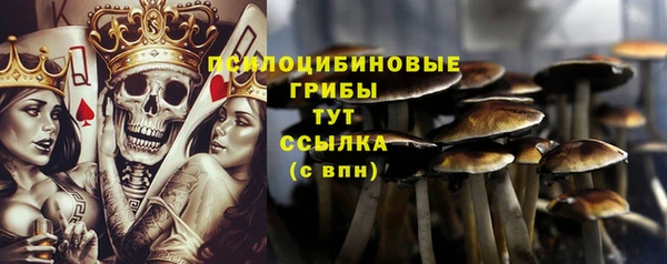 ГАЛЛЮЦИНОГЕННЫЕ ГРИБЫ Михайловка