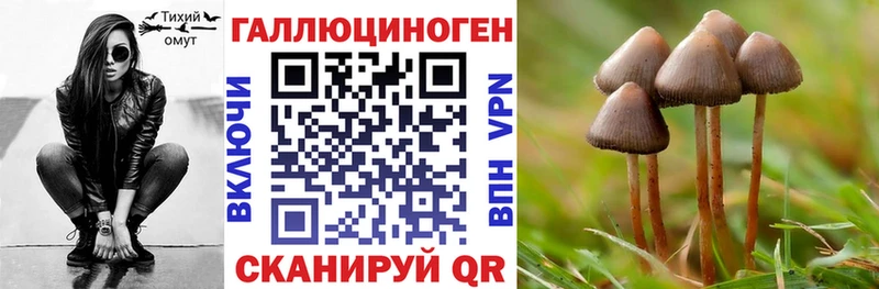 Галлюциногенные грибы MAGIC MUSHROOMS  закладки  Лосино-Петровский 