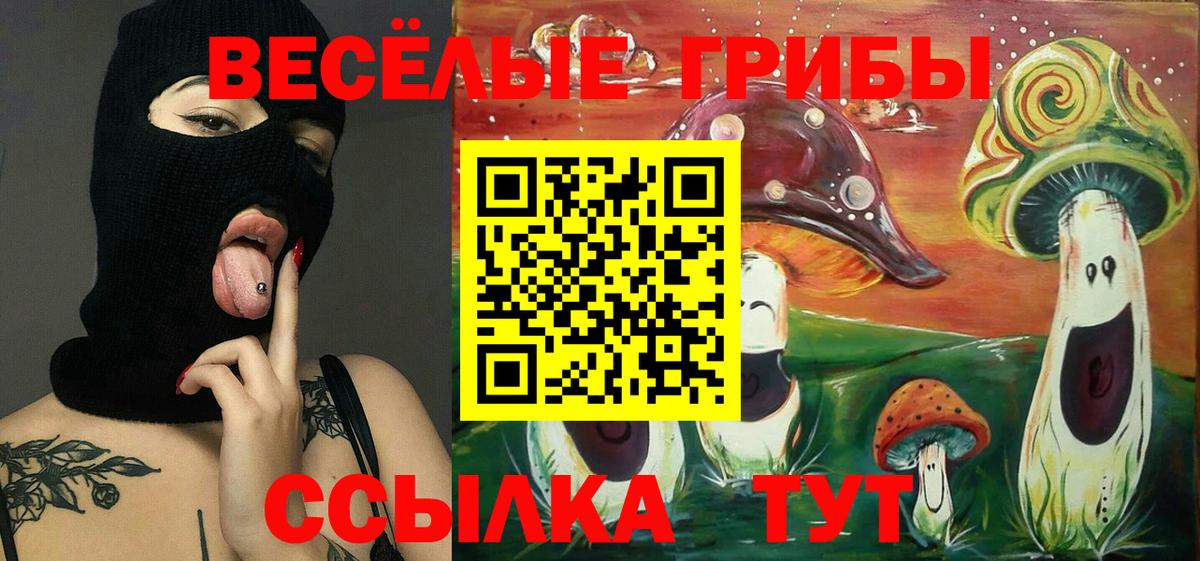 Псилоцибиновые грибы мицелий Лосино-Петровский