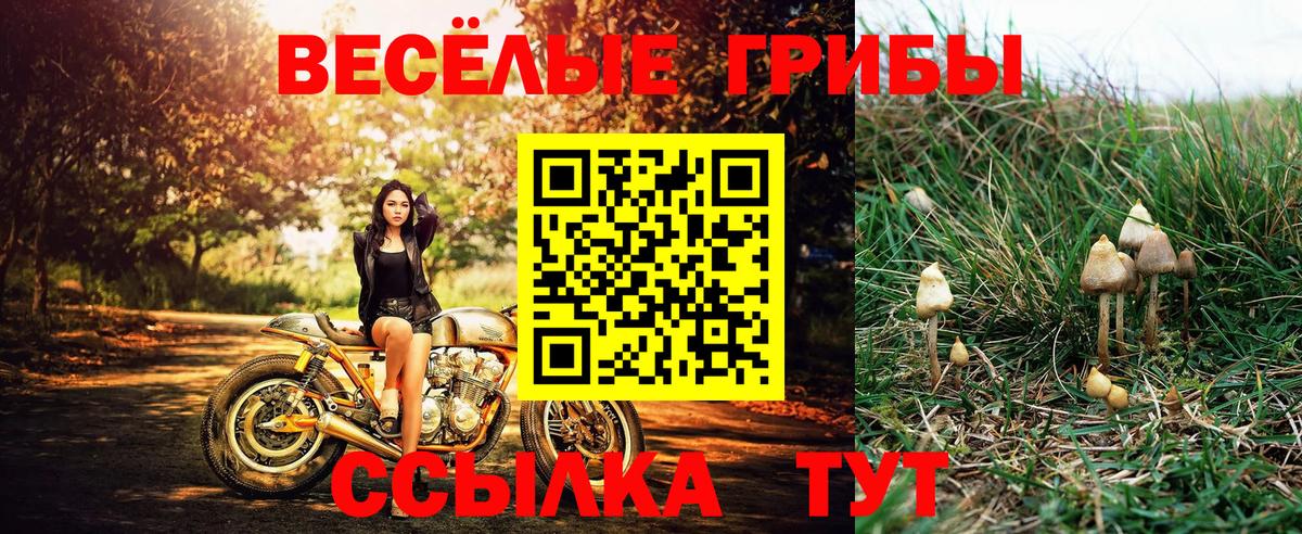 Галлюциногенные грибы прущие грибы  Галлюциногенные грибы Magic Shrooms  Вход с VPN  Лосино-Петровский 