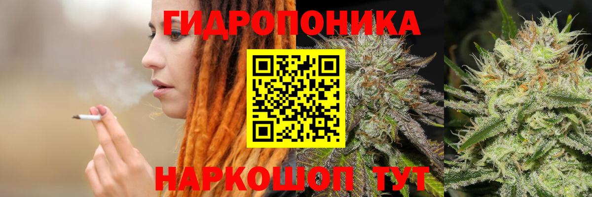 Лосино-Петровский  Канабис MAZAR  Канабис семена  Вход с VPN  Шишки марихуана марихуана  Канабис семена 